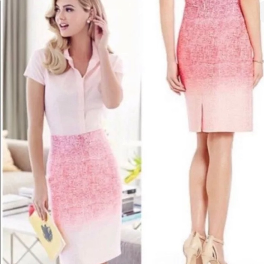 Ombré Pencil Skirt Antonio Melanie zize 0